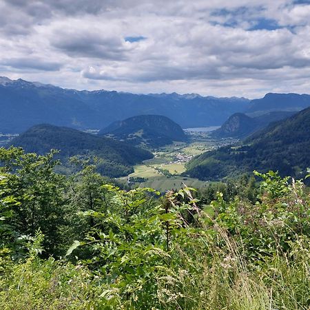 Apartmaji Vesna Bohinj Buitenkant foto