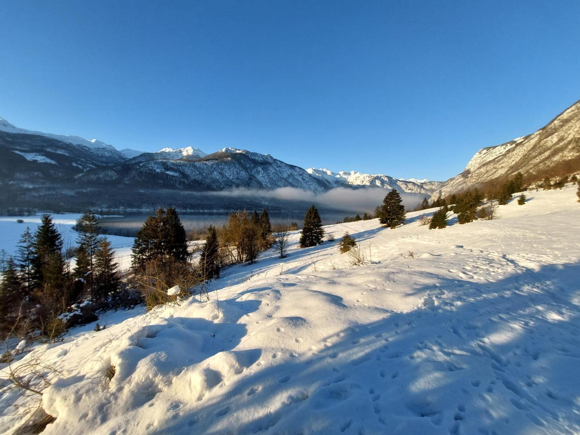 Apartmaji Vesna Bohinj Buitenkant foto
