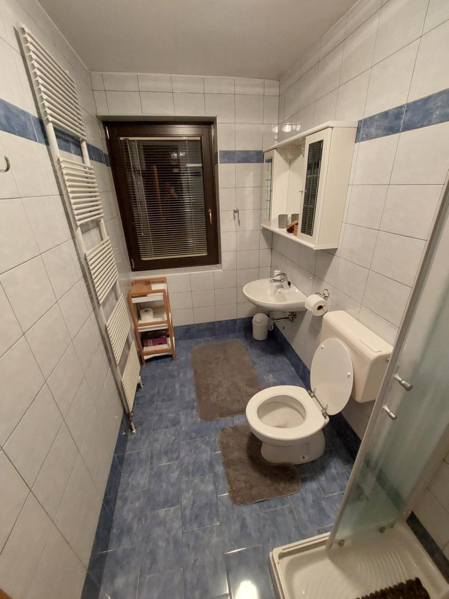 Apartmaji Vesna Bohinj Kamer foto