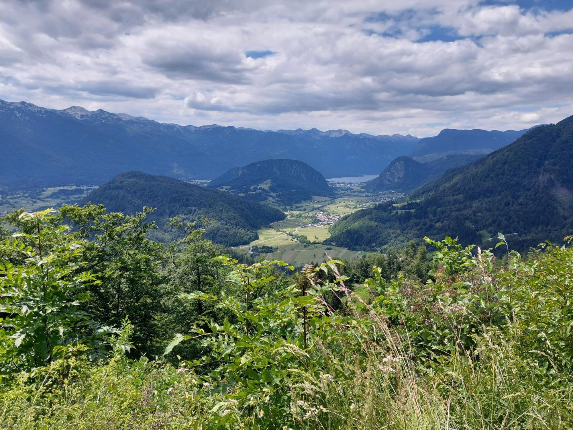 Apartmaji Vesna Bohinj Buitenkant foto