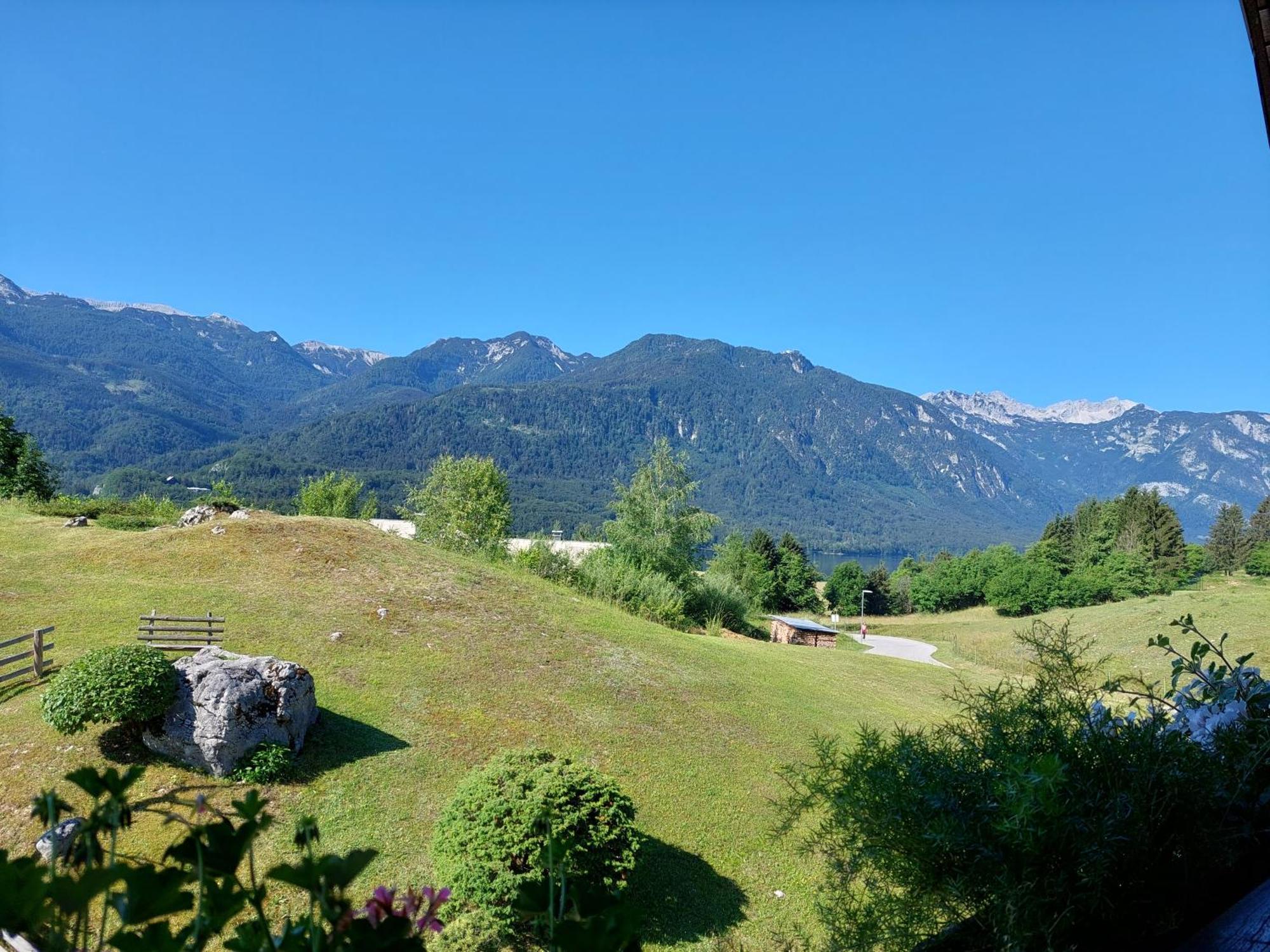 Apartmaji Vesna Bohinj Buitenkant foto