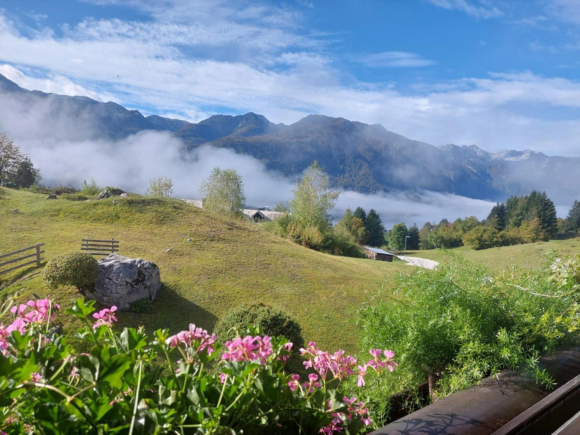 Apartmaji Vesna Bohinj Buitenkant foto