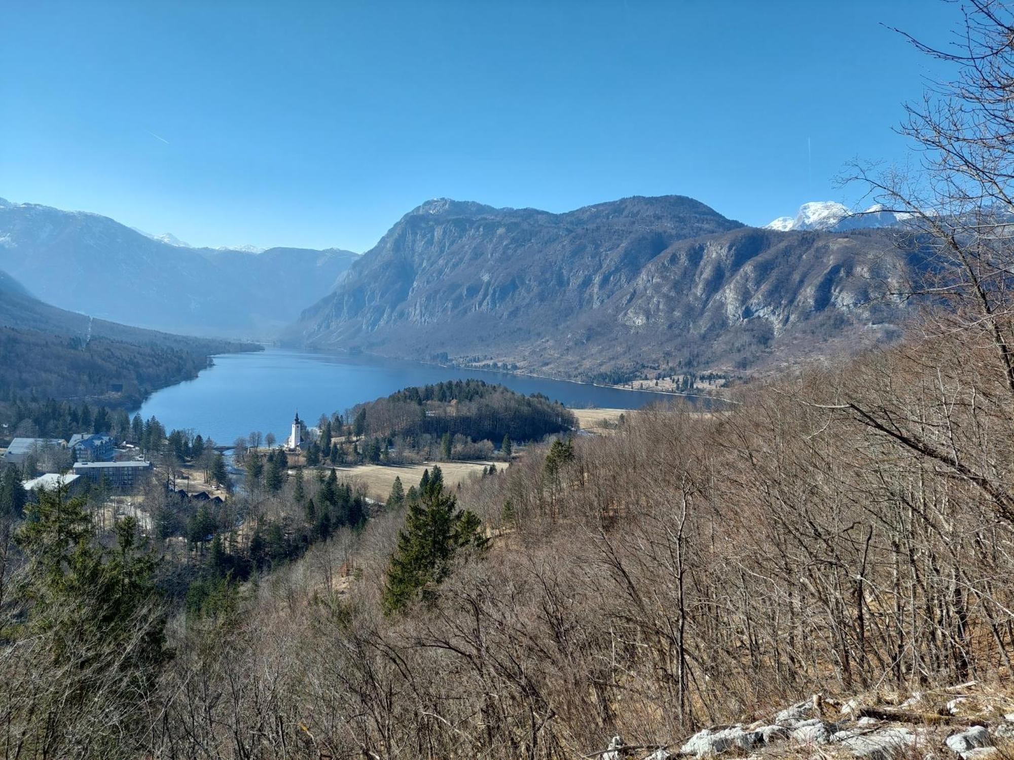 Apartmaji Vesna Bohinj Buitenkant foto