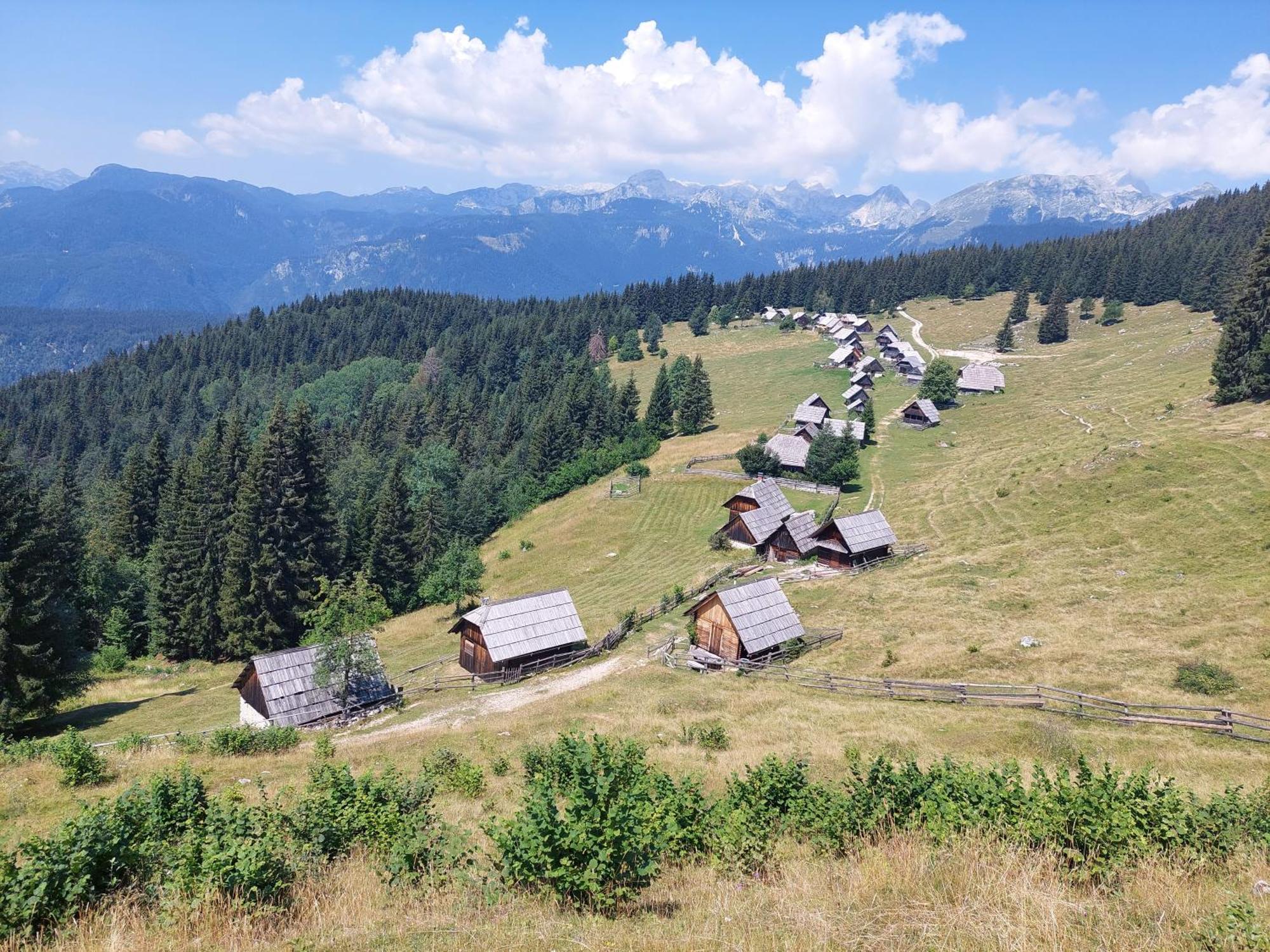 Apartmaji Vesna Bohinj Buitenkant foto